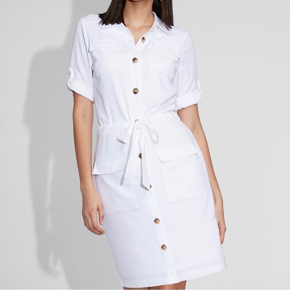 Gabrielle Union New York & Company White Shirt Dress